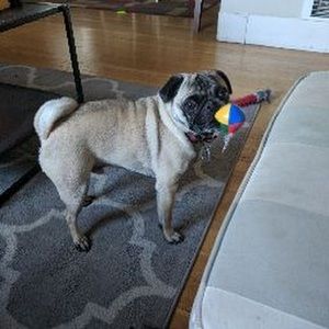 Meet your Posher, April